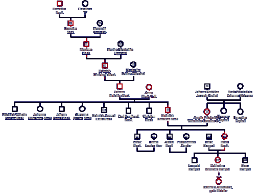 Stammbaumteil Bettina Meister zu Johann Melchior Nack und Anna Maria Cott